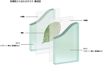 突板等合わせガラス 構成図